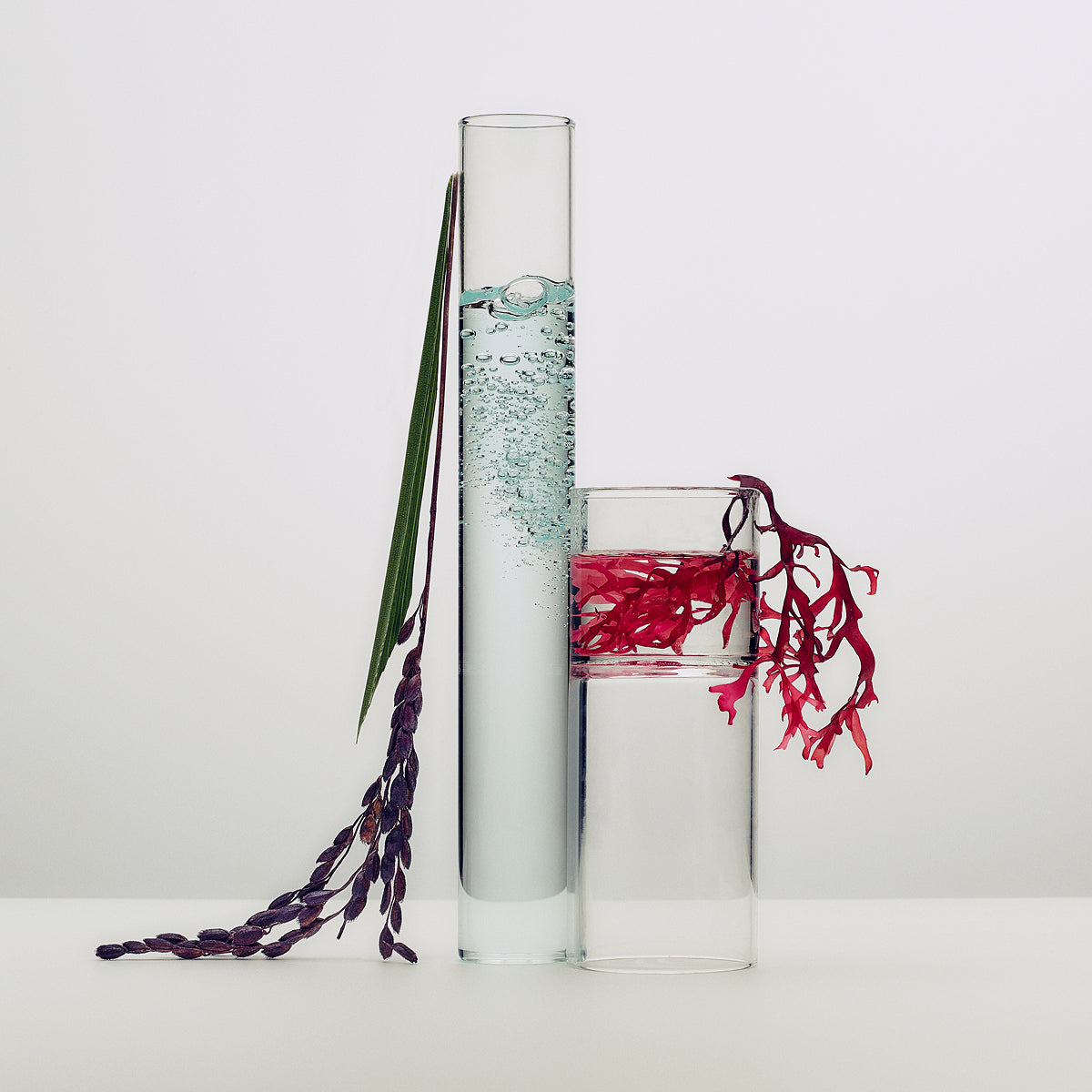 Tatcha The Dewy Skin Cream - Image 10