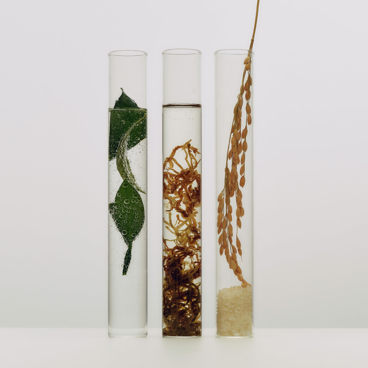 Tatcha The Essence - Image 13