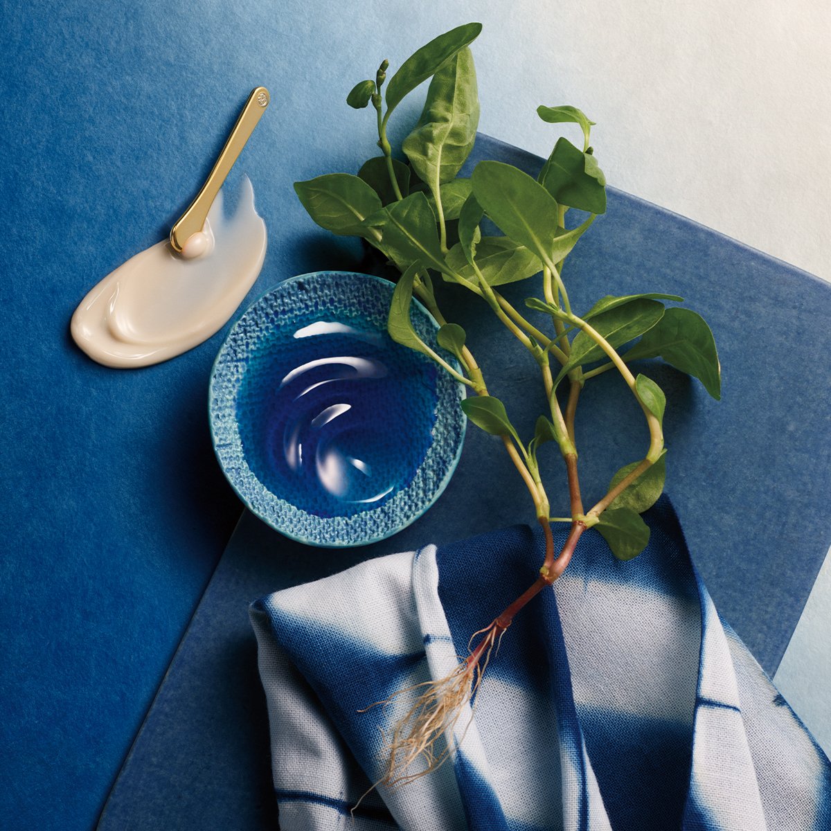 Tatcha Indigo Overnight Repair - Image 12